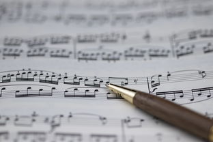 九游官网主页-NBA球员职业规划建议与实施，nba球员怎么规划锻炼和训练