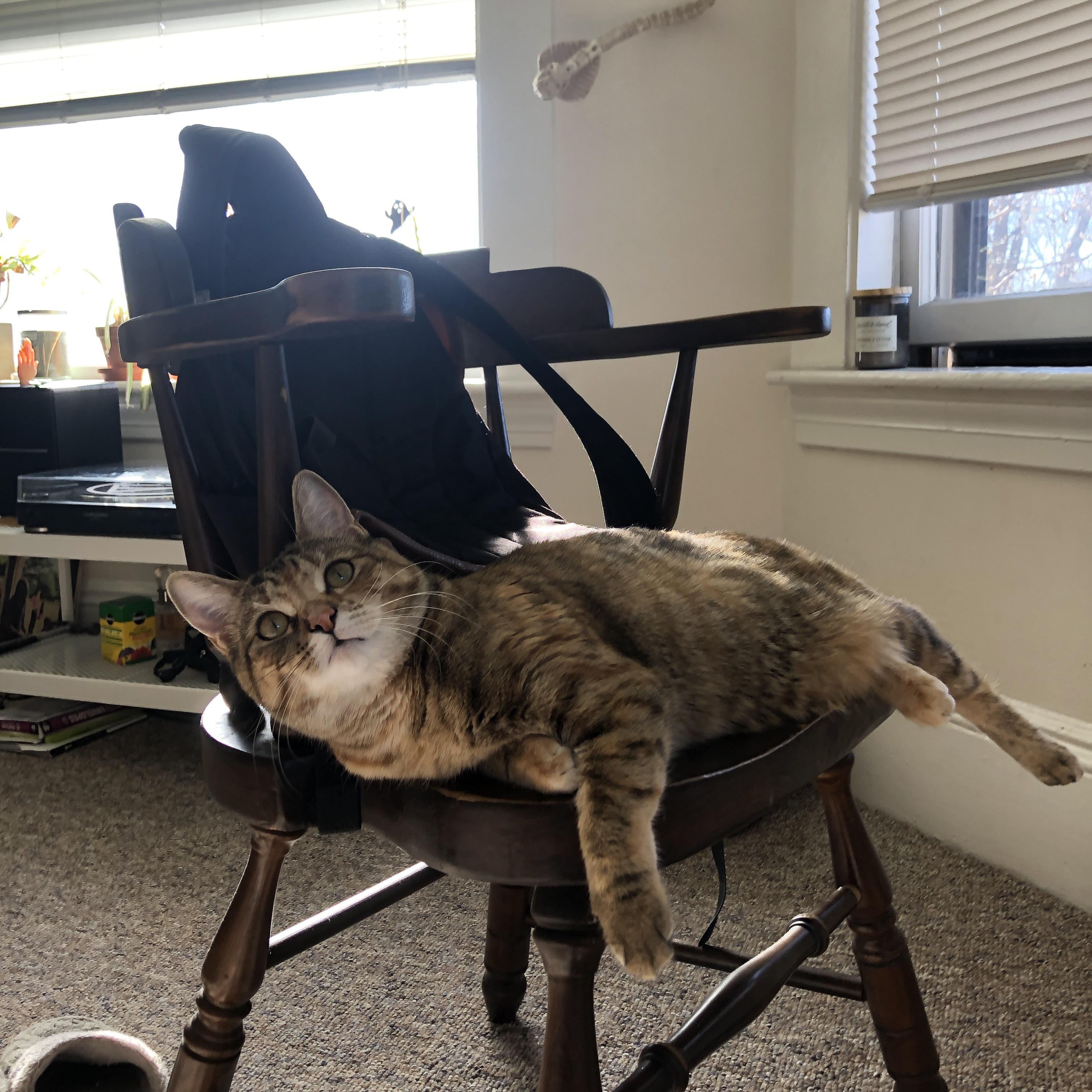 NBA球员职业道德与形象建设，nba球员的职业年限