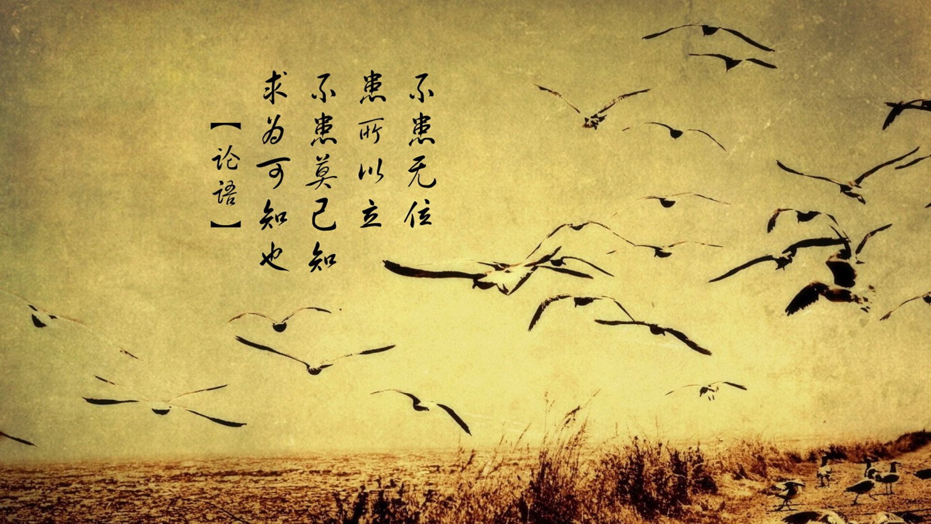 NBA球员营养补给计划的个性化设计，营养补给液