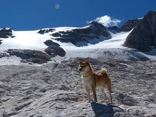 NBA球员训练强度调控，nba球员训练方式