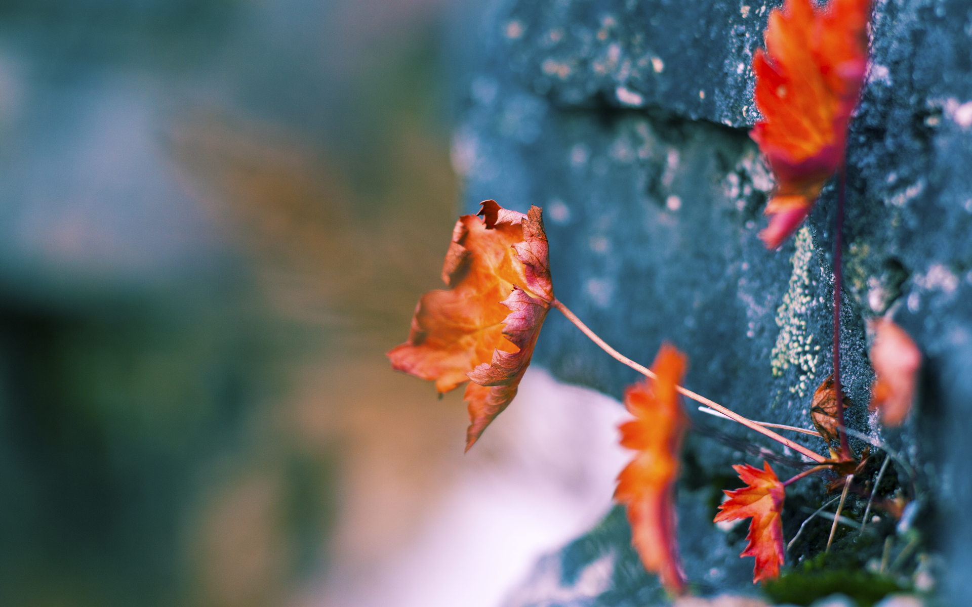 NBA球员训练技术创新实践，nba训练内容