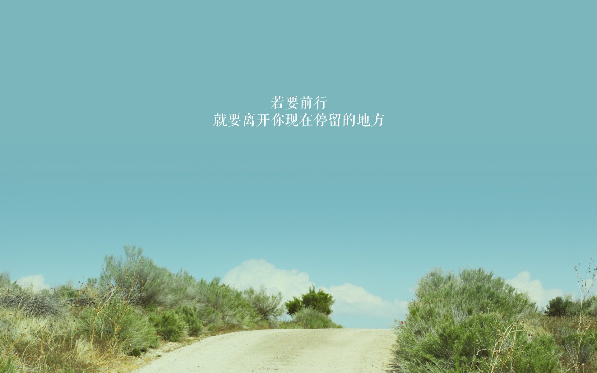 阿贾克斯青训出新星，未来可期，阿贾克斯青训理念