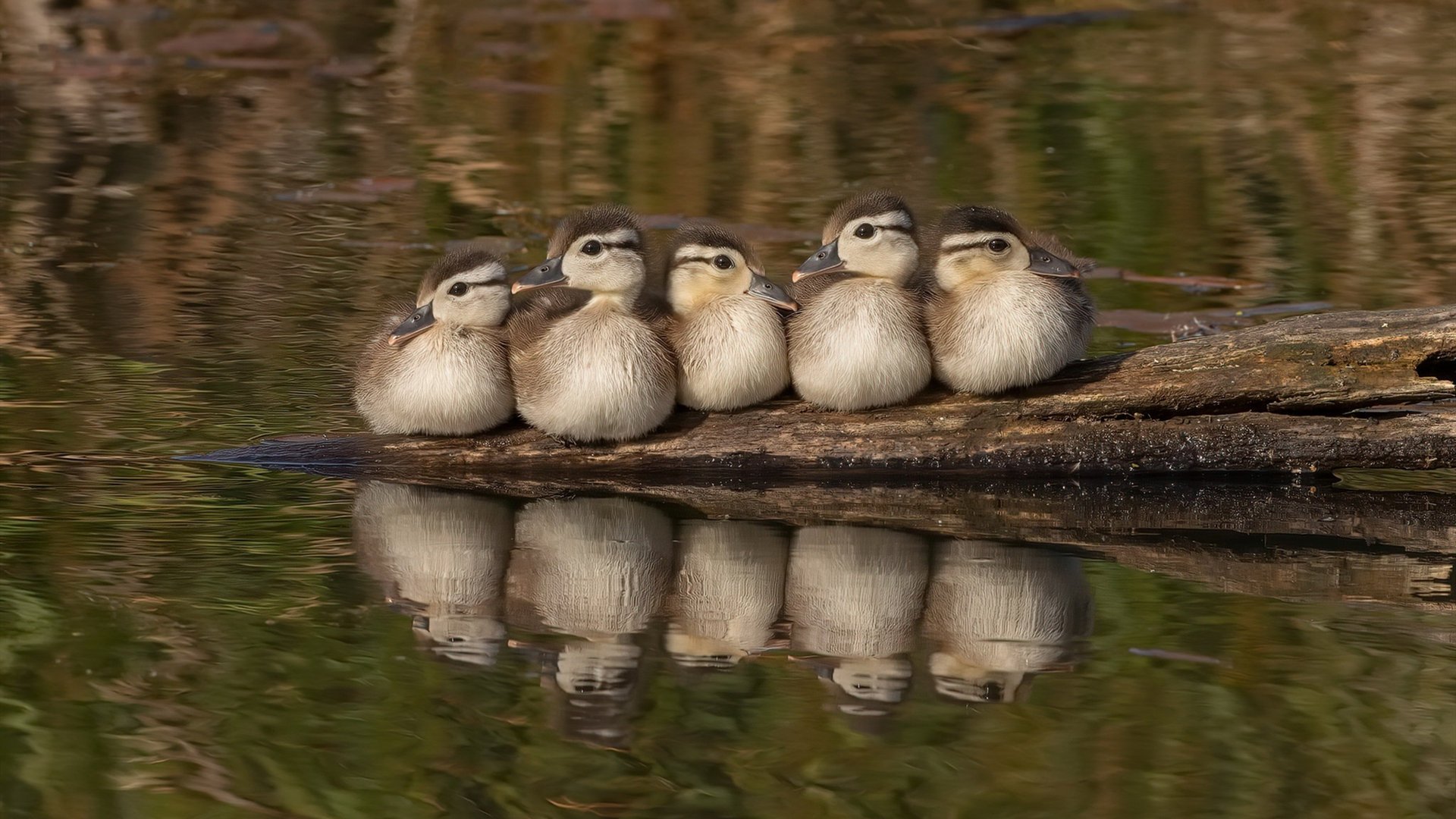 高校体育师资队伍建设与发展研究，高校体育师资队伍建设与发展研究现状