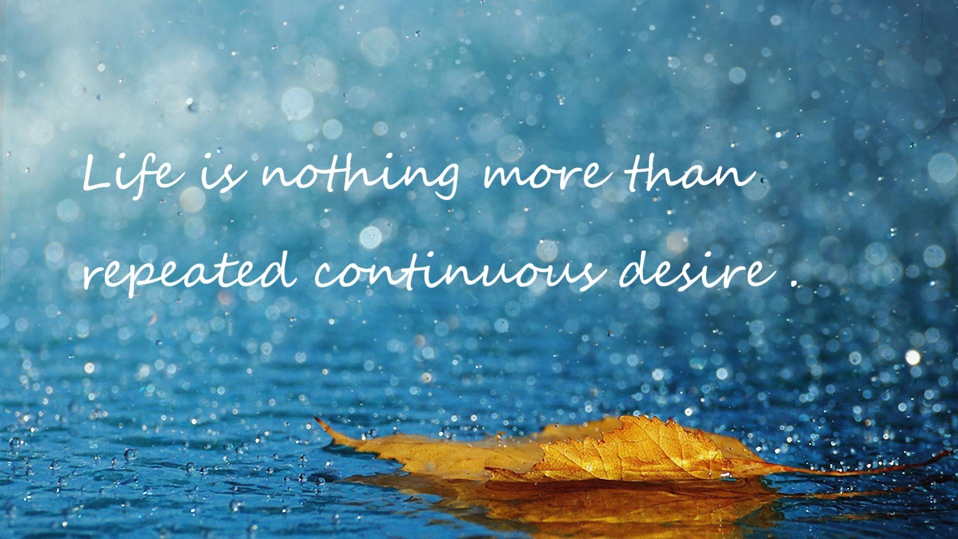 “高新区全民健身馆：壁球竞技，极速对决让你眼花缭乱！”