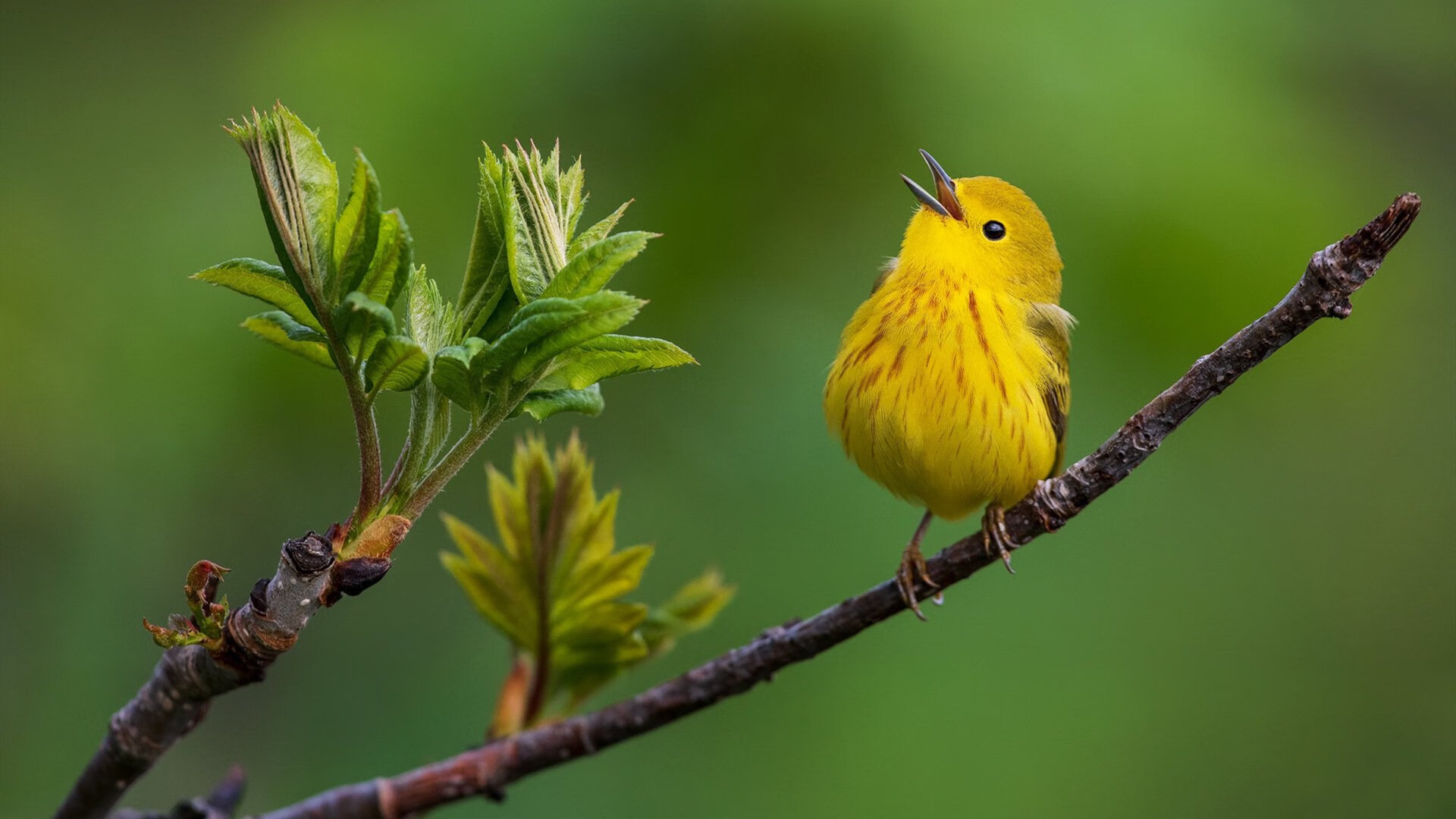 俱乐部经营缺少应对危机的财务储备,俱乐部经营缺少应对危机的财务储备措施
