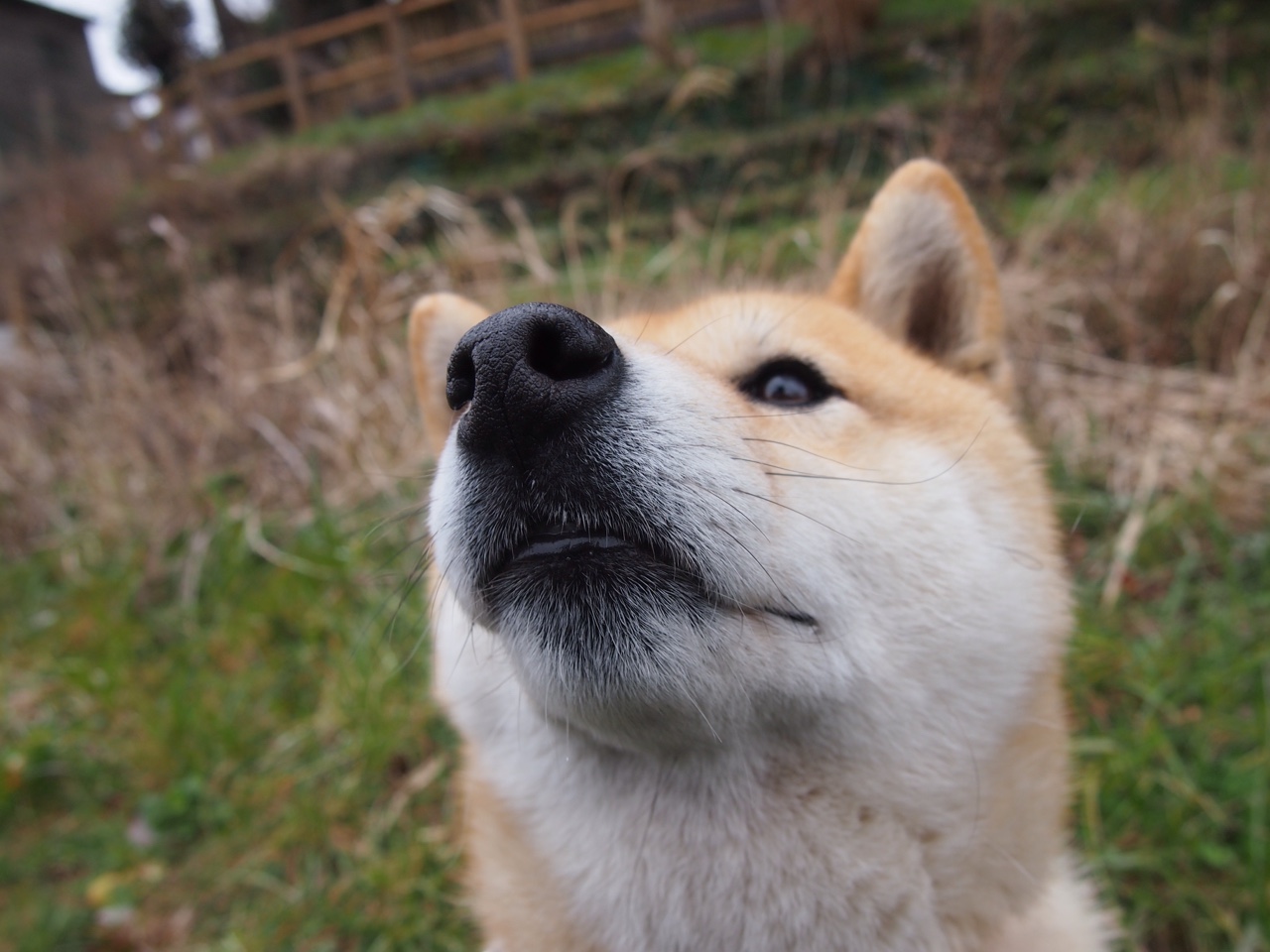 AI裁判全面应用，确保比赛公平公平与时俱进，ai裁判 体操