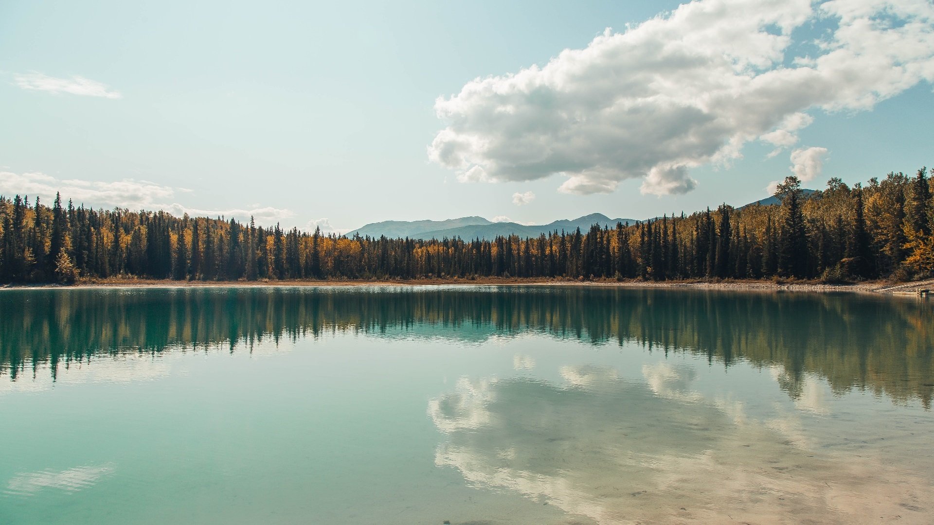 主教练战术板揭秘,关键回合布置受关注,主教练挑战