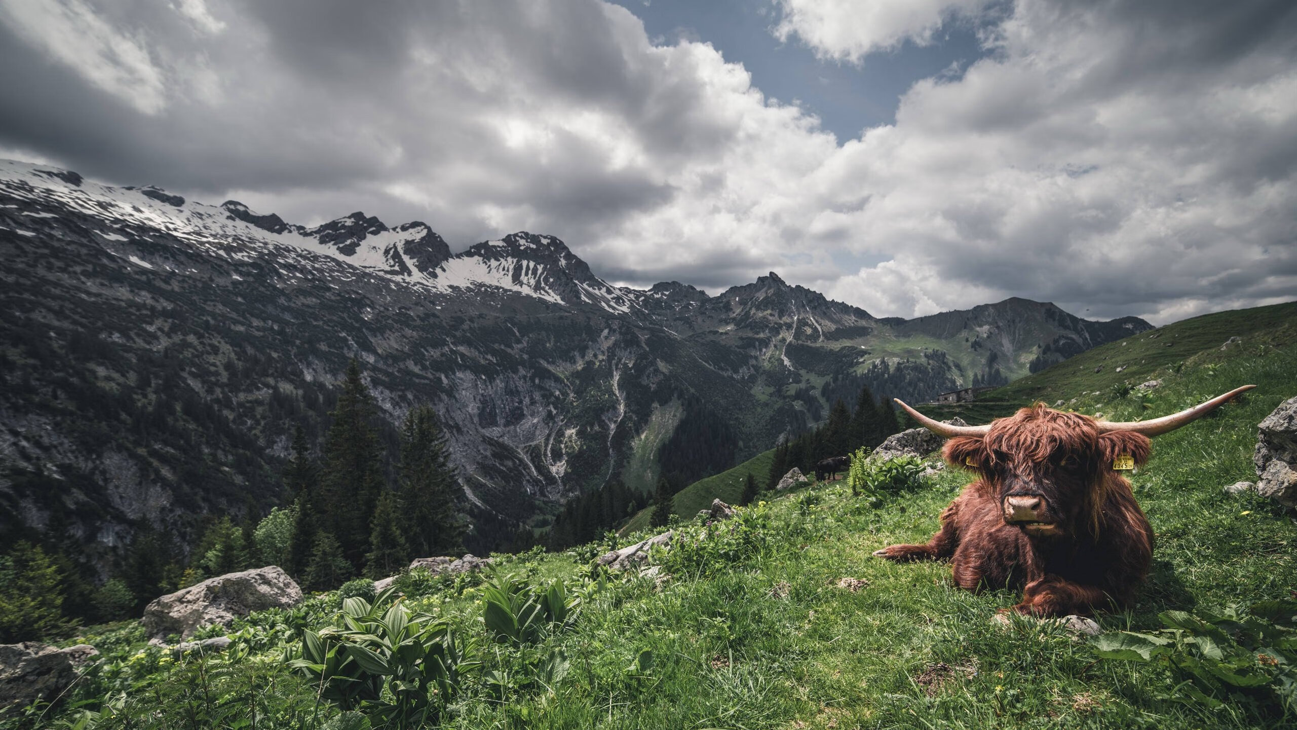 女子足球鼓励参与国际教练交流引入多样化理念，女子足球训练视频