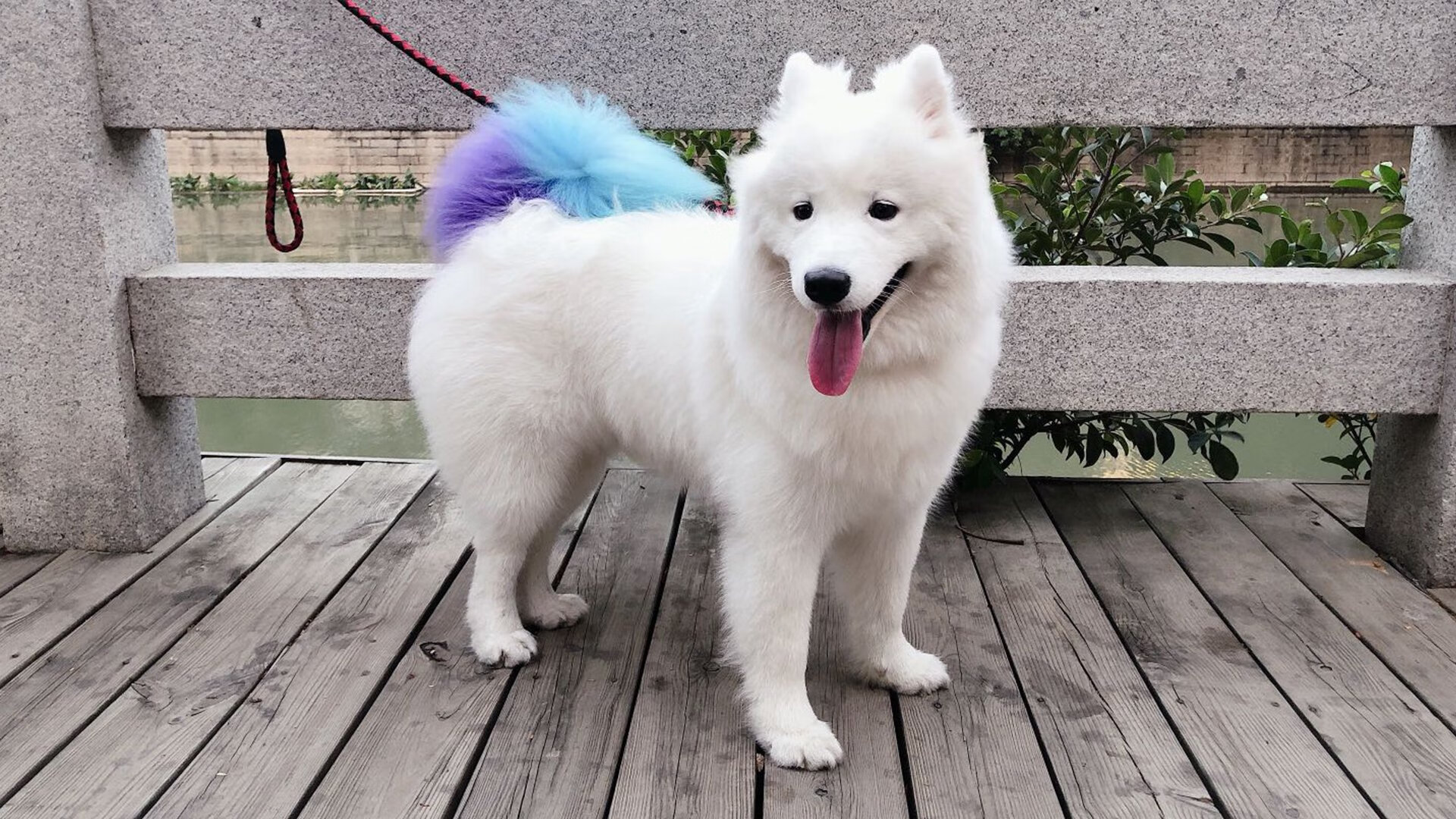 巴雷特:全黑队的“全能型进攻者”,每一场比赛都有精彩表现