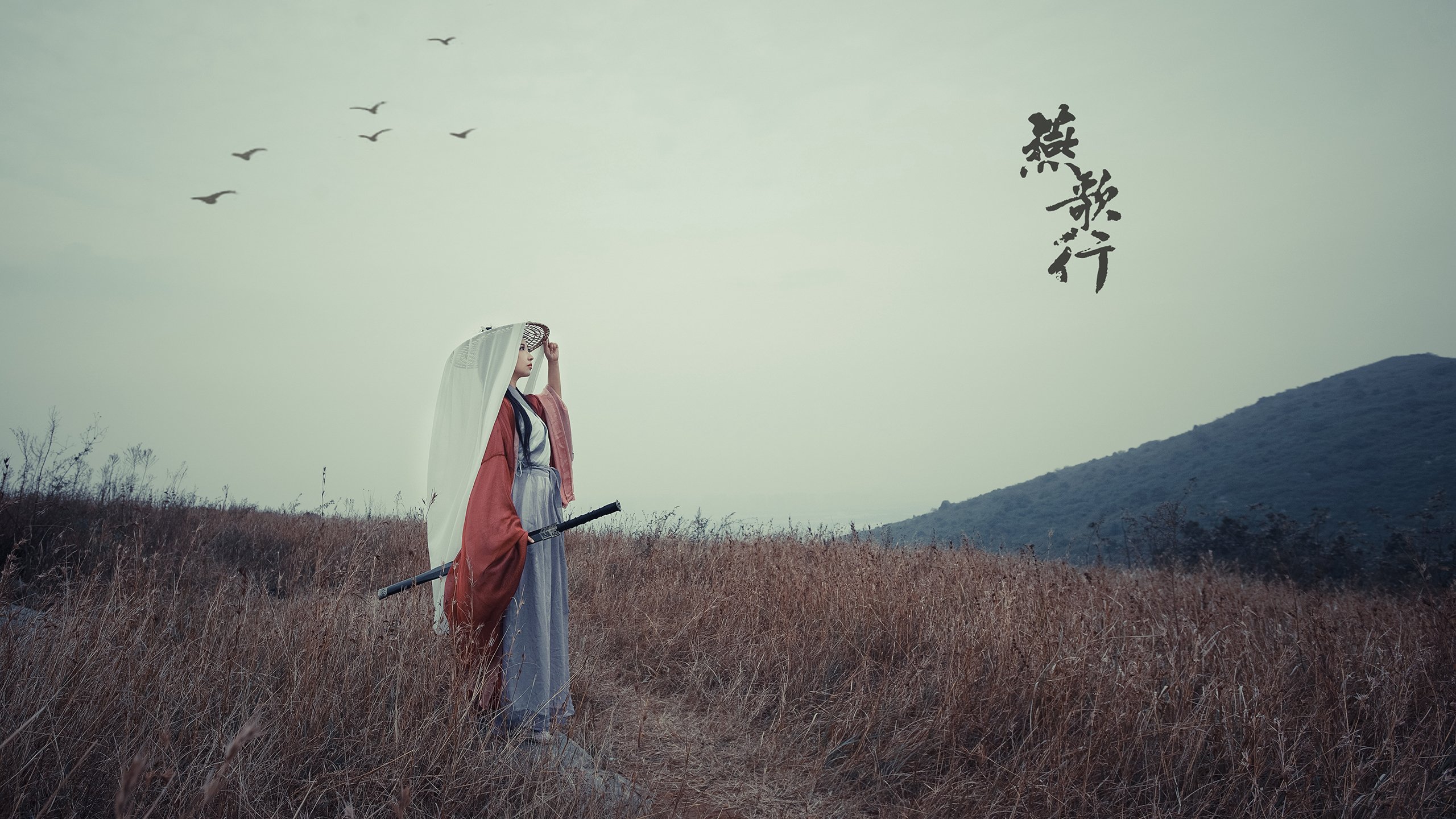 快船封闭训练全队围观战术模拟引热议，快船队q战术