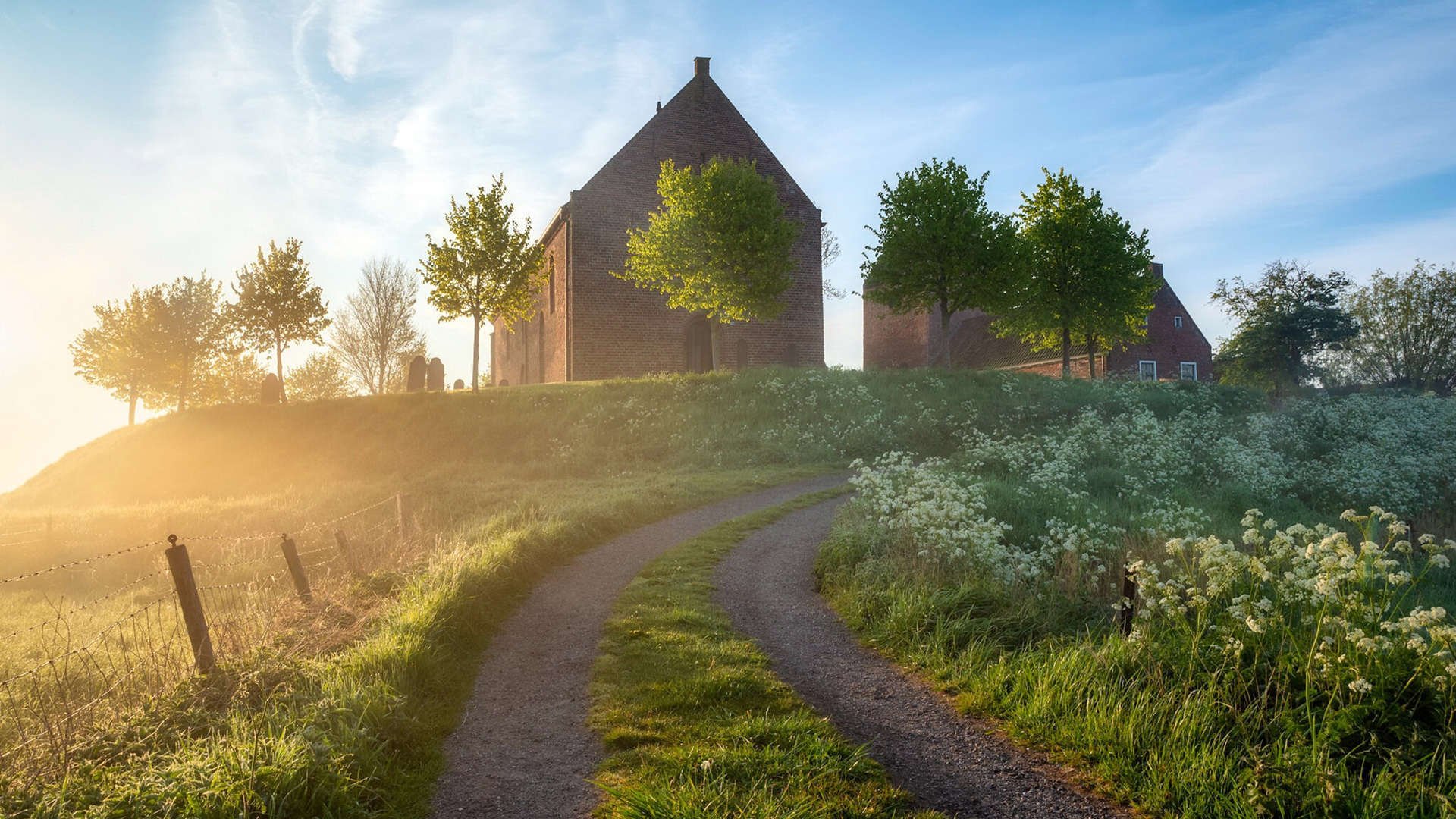 跳水稳健输出瑞士锁定奖牌，东京奥运会瑞士跳水运动员