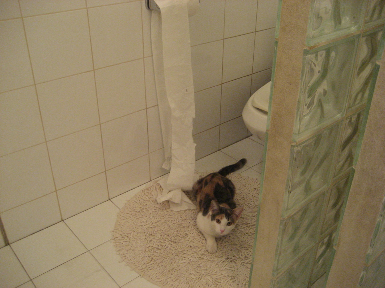 中国足球俱乐部注重青训队伍的专业化培养，中国足球青训人才